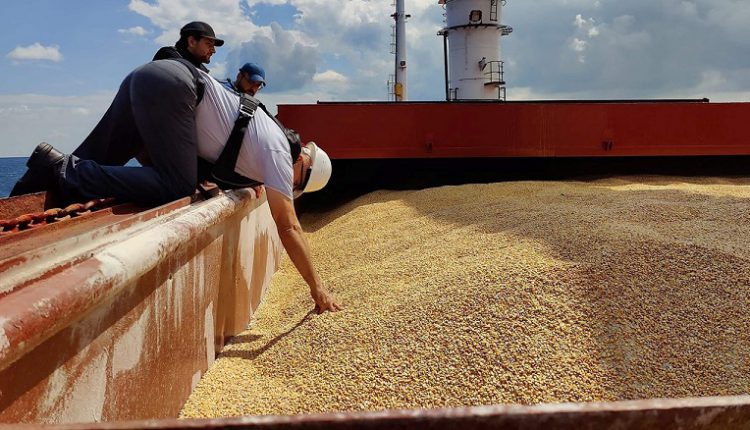 صندوق النقد: توقف اتفاق الحبوب يهدد بارتفاع الأسعار حتى 15%   