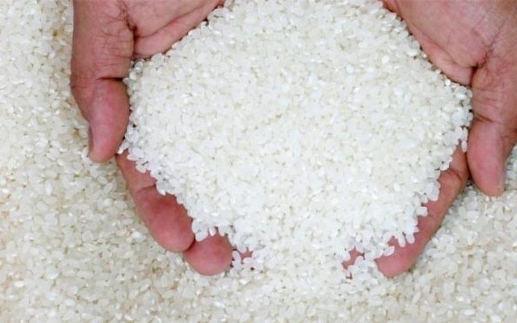 الحكومة تنفى وجود عجز في الأرز فى المنافذ والأسواق والمخزون الإستراتيجي آمن