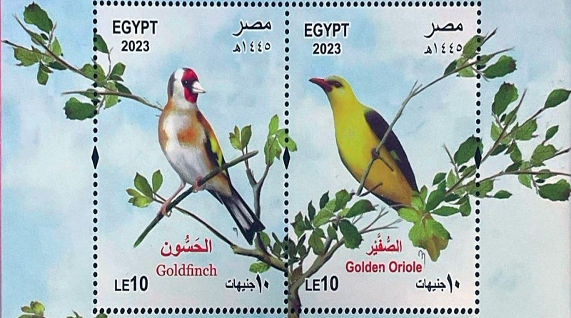 القومية للبريد تصدر بطاقة تذكارية ترصد فيها ظاهرة الطيور المهاجرة