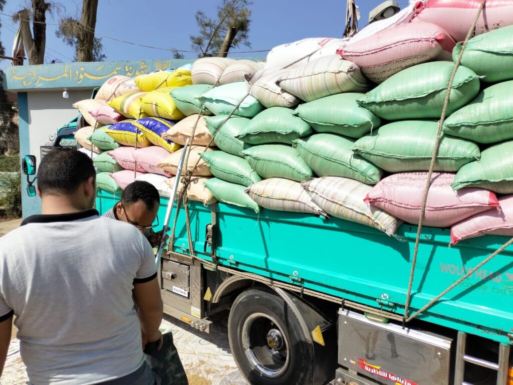  البنك الزراعي المصري يبدأ استلام محصول القمح من المزارعين والموردين في190موقع على مستوى الجمهورية
