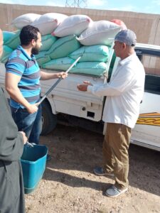 البنك الزراعي المصري يبدأ استلام محصول القمح من المزارعين والموردين في190موقع على مستوى الجمهورية