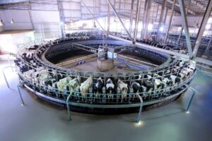 جهينه تطلق مرحلة جديدة من التوسع في مزرعة "إنماء" 