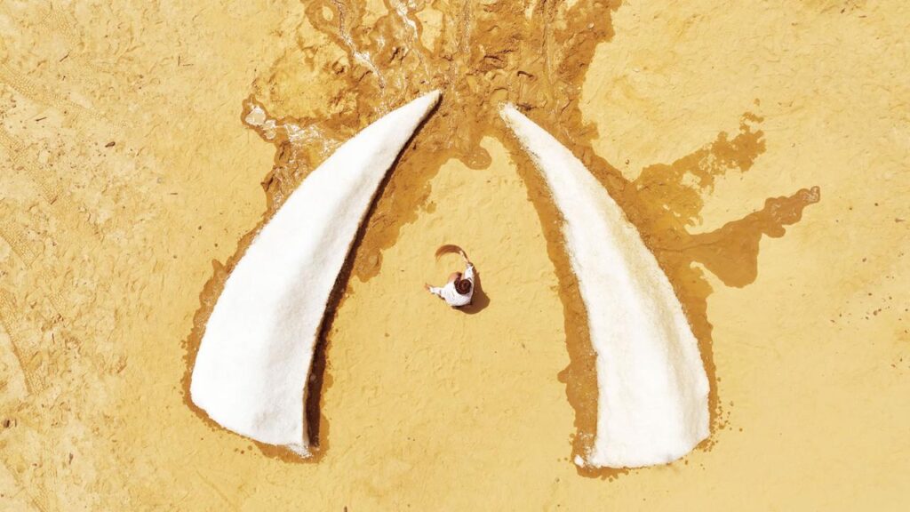 إلينا تينجري : تبتكر منحوتة جليدية ضخمة في صحراء مصر لتسليط الضوء على أزمة المناخ